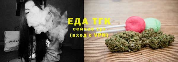 СК Вязьма