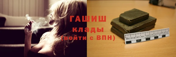 индика Вязники