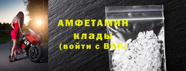 индика Вязники