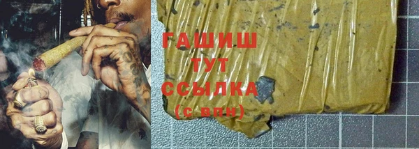 индика Вязники