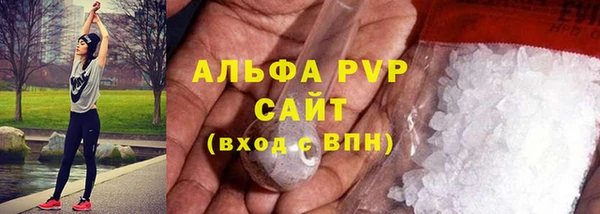 индика Вязники